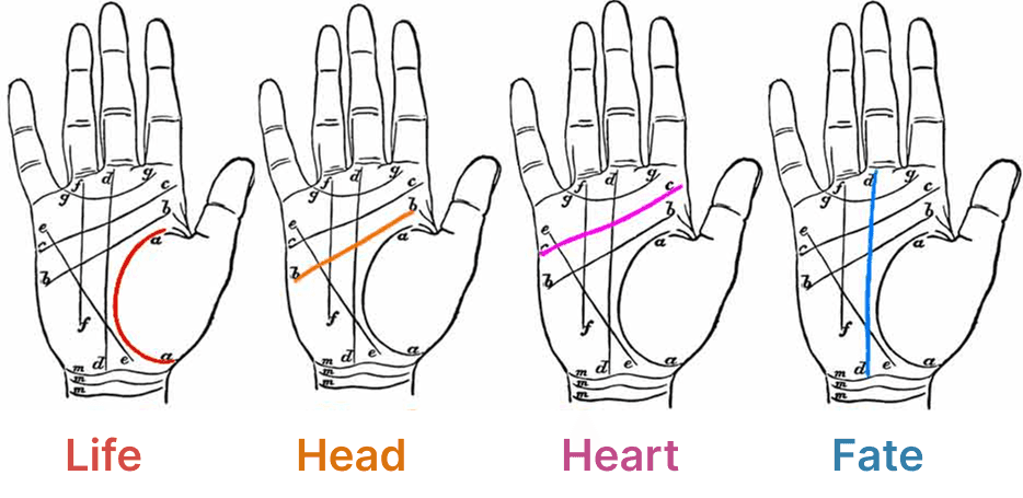 Palm Reading Image